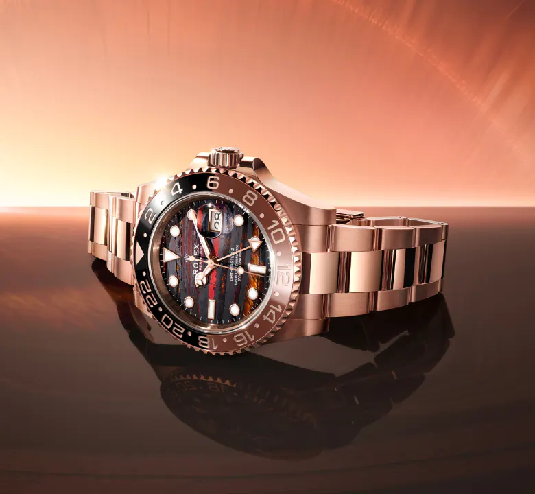 disco della lunetta Cerachrom marrone e nero